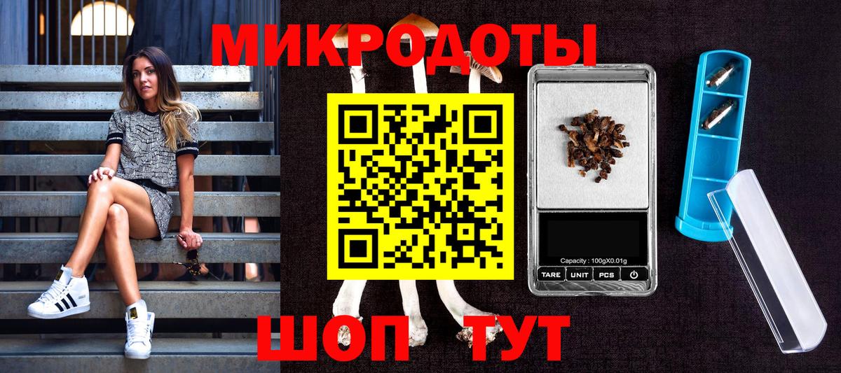 Галлюциногенные грибы Cubensis Родники