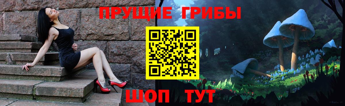 Родники  Галлюциногенные грибы GOLDEN TEACHER  Вход с VPN 